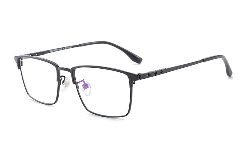 TC8113 Eyeglasses Black