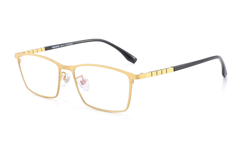 TC8122 Eyeglasses Gold