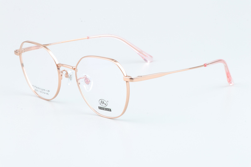 TC8210 Eyeglasses Gold