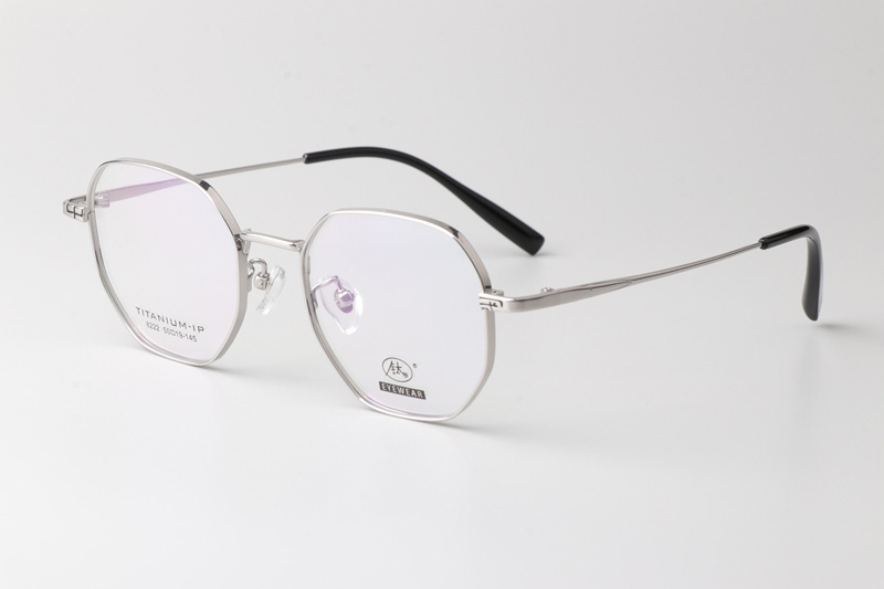 TC8222 Eyeglasses Silver