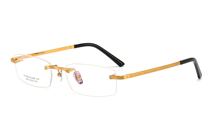 TC8226 Eyeglasses Gold