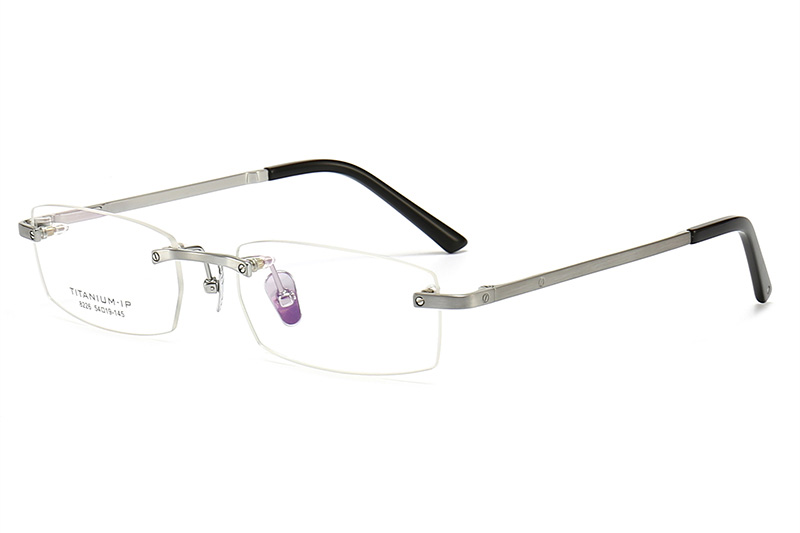 TC8226 Eyeglasses Silver