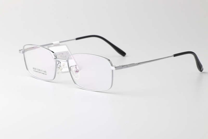 TT6029 Eyeglasses Silver